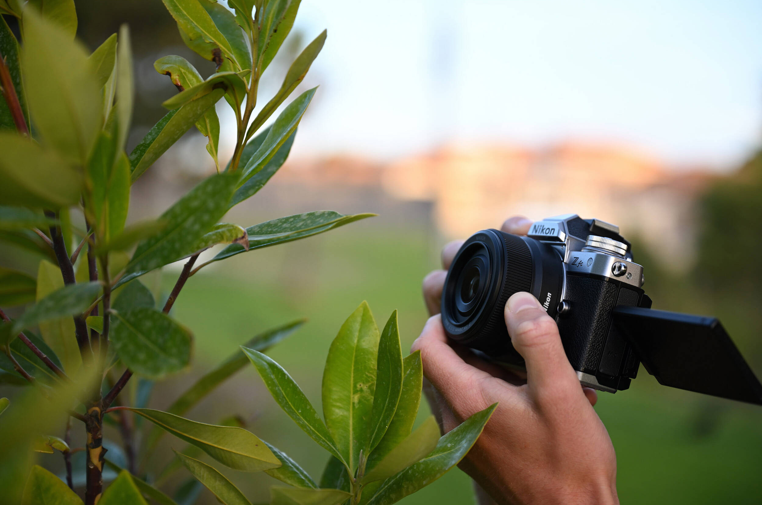 NIKKOR Z 24 mm f/1,7 DX img1 
