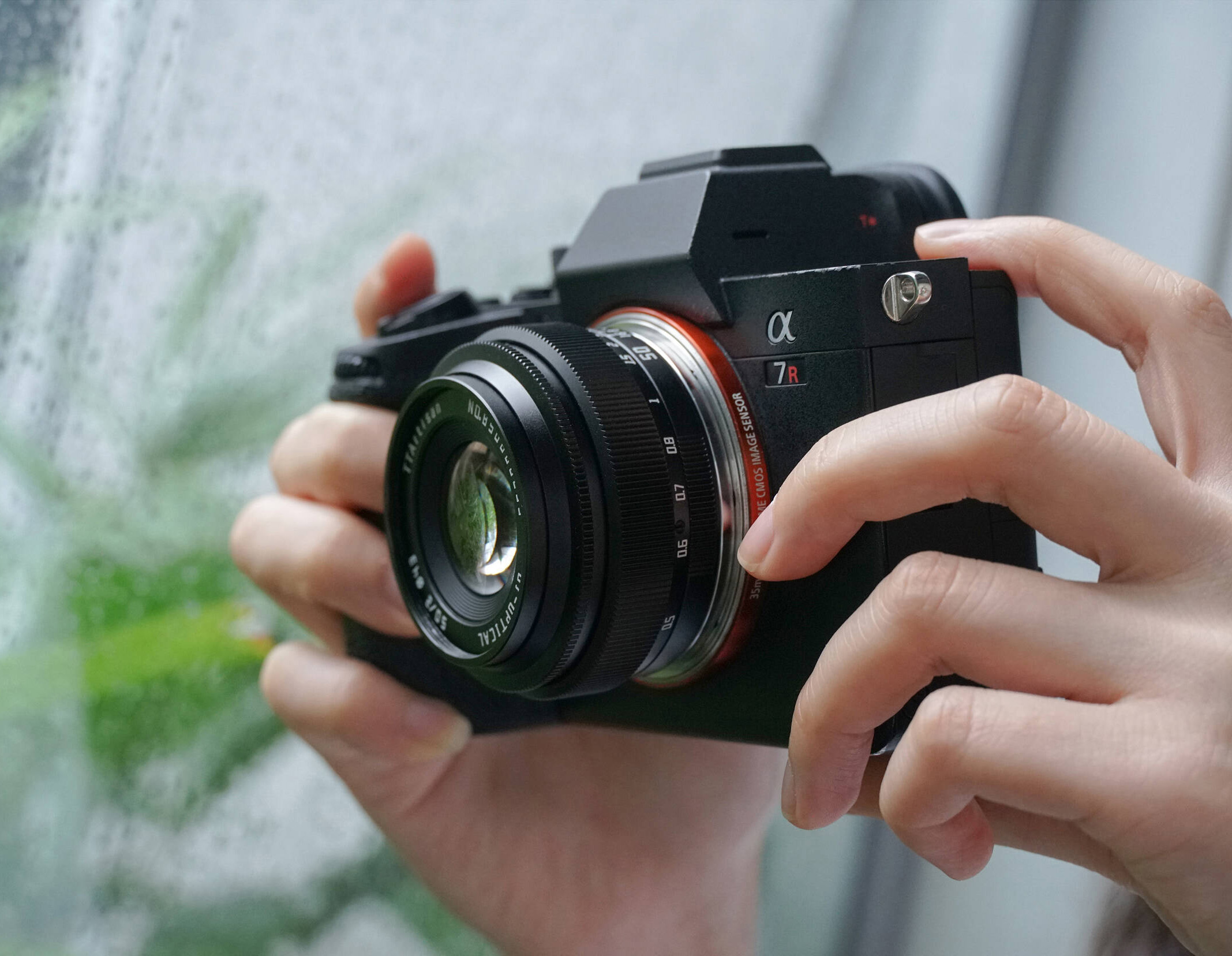 TTArtisan 50 mm f/2 image 4