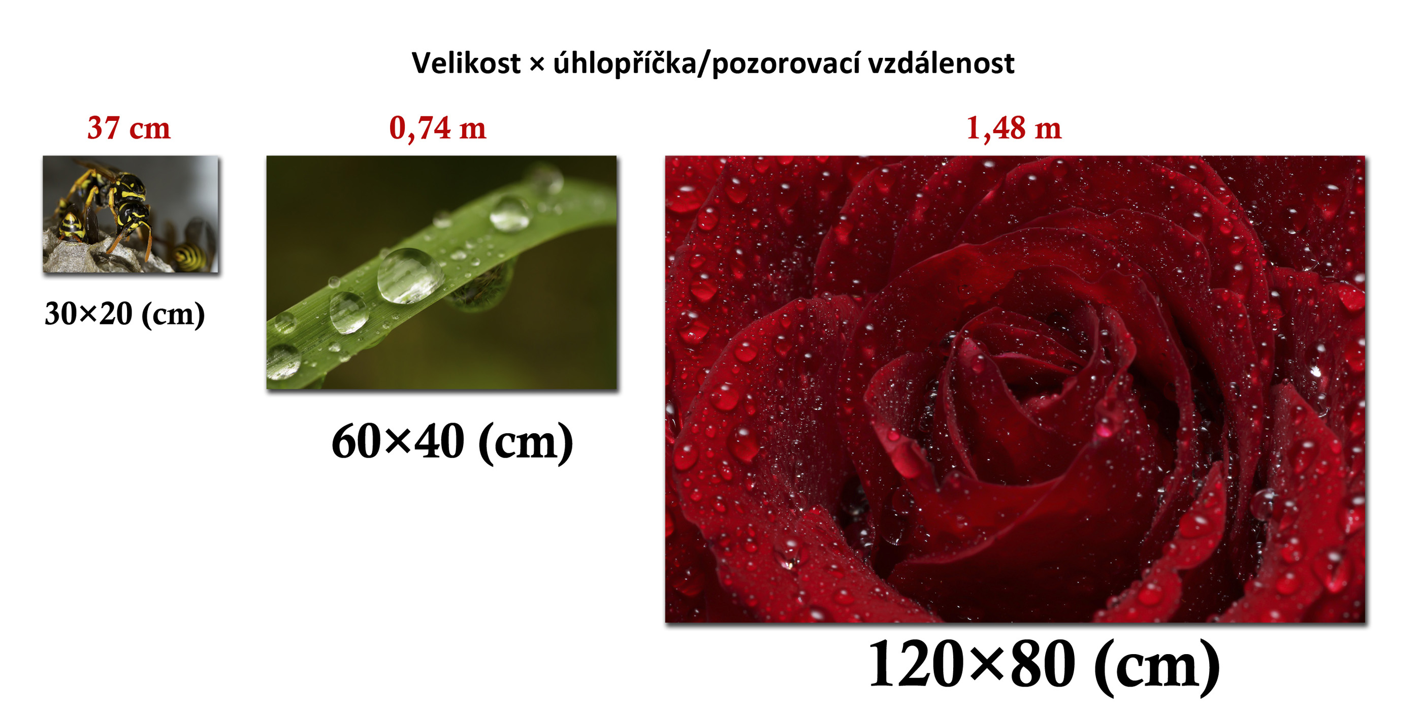 Tisk od A do Z velikost a pozorovací vzdálenost