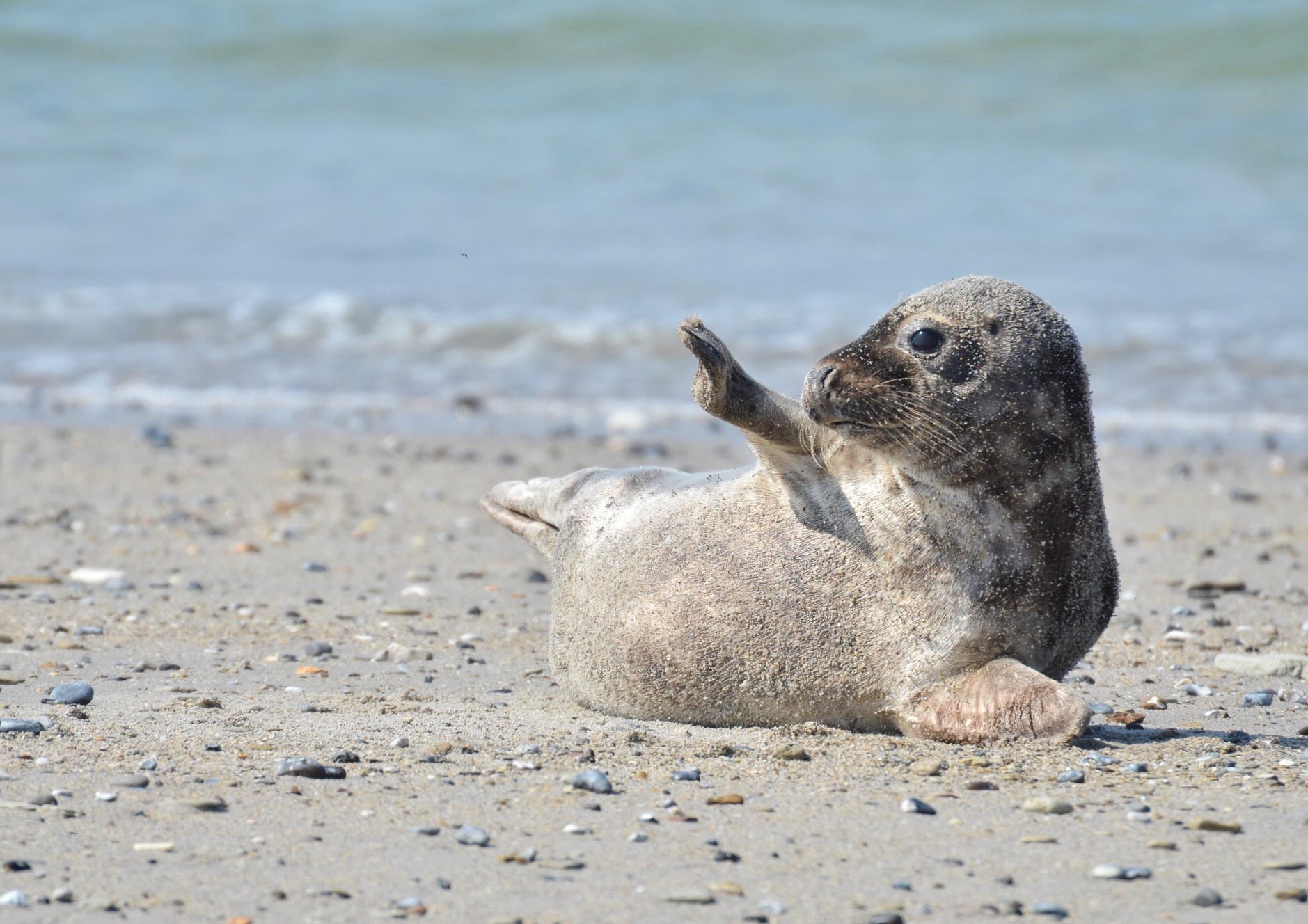 Fotoexpedice Helgoland a Düne © Jaroslav Hora