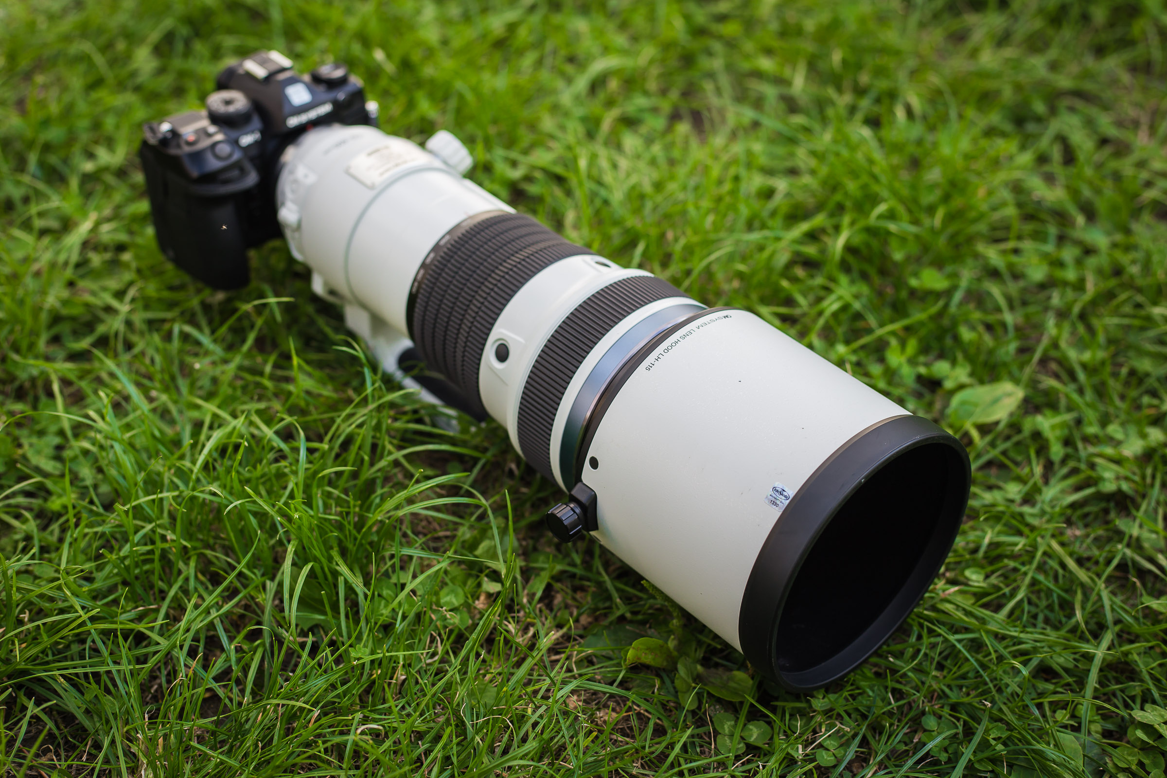 OM SYSTEM 150-400 mm f/4,5 TC1,25x img7