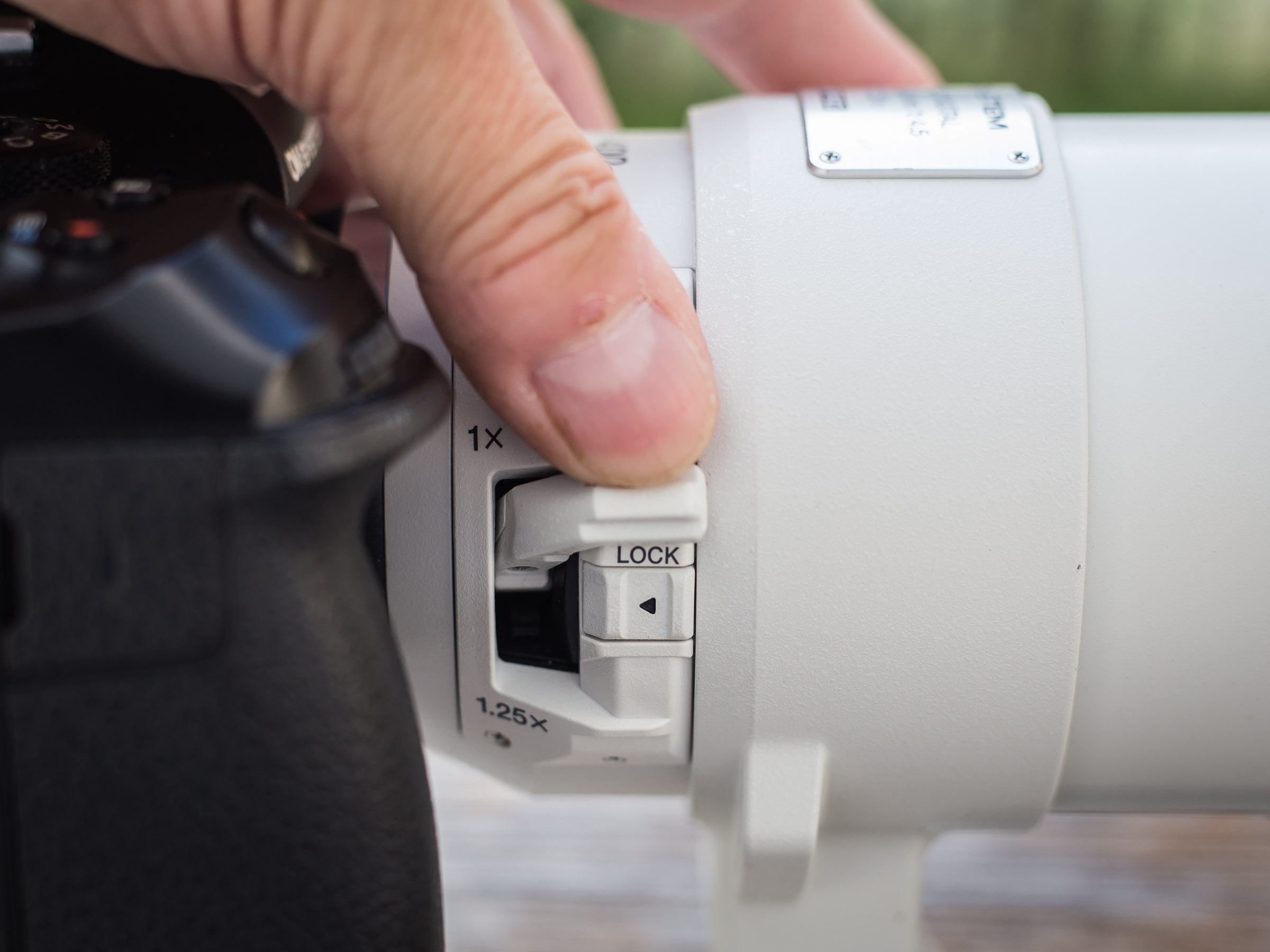 OM SYSTEM 150-400 mm f/4,5 TC1,25x img10
