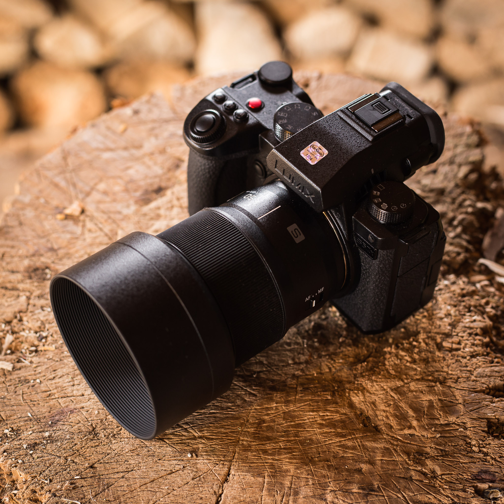 Panasonic LUMIX DC-S5 IIx - img14 pohled ze shora 4